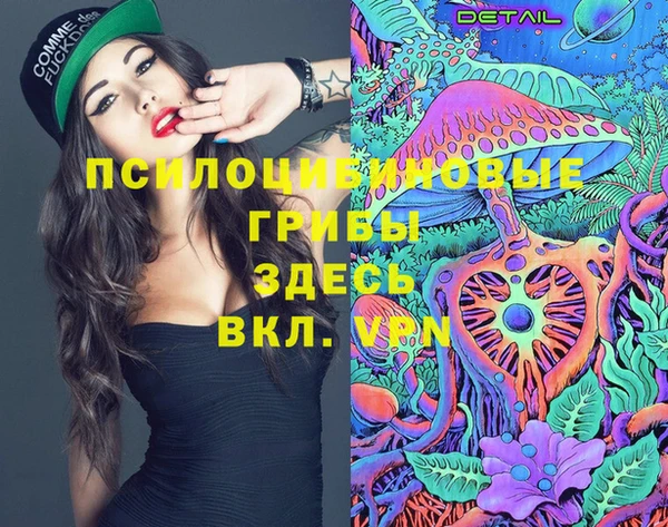 молекула духа Баксан