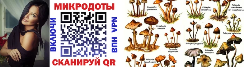 Псилоцибиновые грибы Magic Shrooms  наркотики  Заречный 